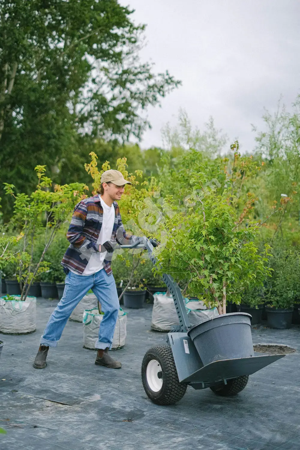 FREE /Garden Supplies 