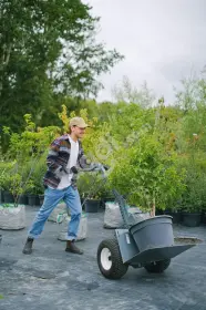 FREE /Garden Supplies 